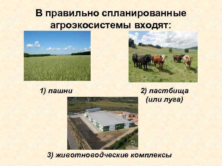 В правильно спланированные агроэкосистемы входят: 1) пашни 2) пастбища (или луга) 3) животноводческие комплексы