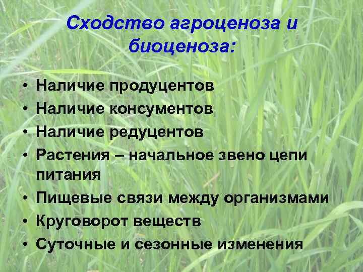 Сходство агроценоза и биоценоза: • • Наличие продуцентов Наличие консументов Наличие редуцентов Растения –