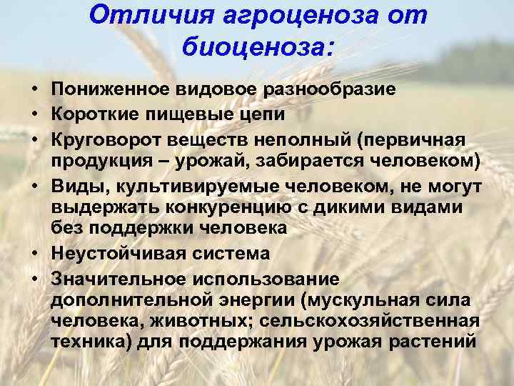 Отличия агроценоза от биоценоза: • Пониженное видовое разнообразие • Короткие пищевые цепи • Круговорот