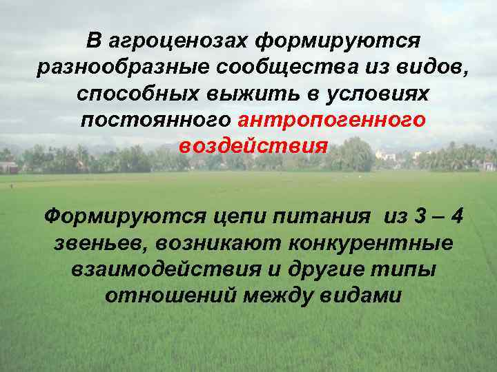 В агроценозах формируются разнообразные сообщества из видов, способных выжить в условиях постоянного антропогенного воздействия