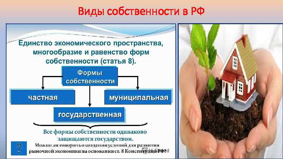 Виды собственности в РФ 