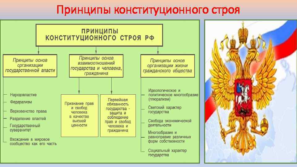 Принципы конституционного строя 