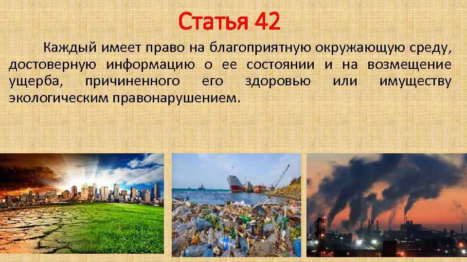 Право граждан на окружающую среду. Каждый имеет право на благоприятную окружающую среду. Право человека на благоприятную окружающую среду. Права граждан на благоприятную окружающую среду. Каждый гражданин имеет право на благоприятную окружающую среду.