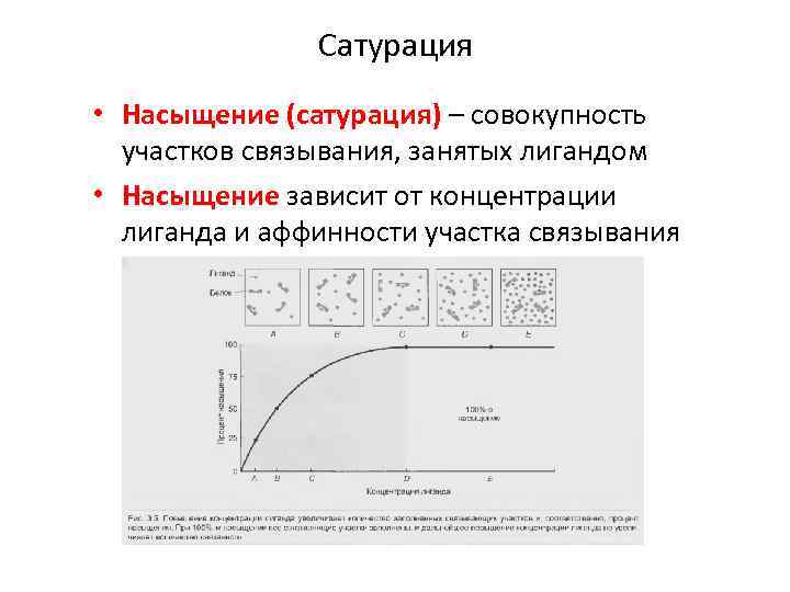 Сатурация • Насыщение (сатурация) – совокупность участков связывания, занятых лигандом • Насыщение зависит от