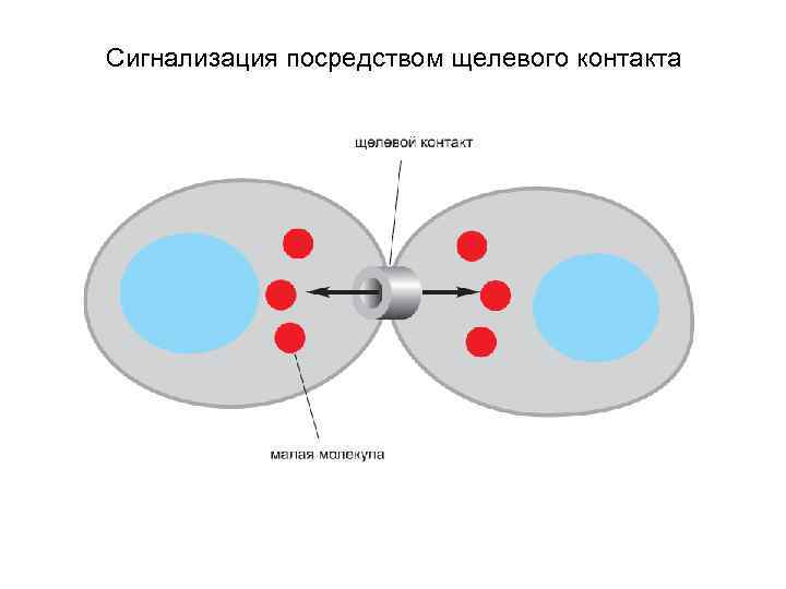 Сигнализация посредством щелевого контакта 