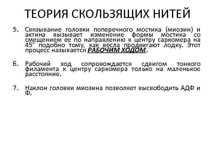 ТЕОРИЯ СКОЛЬЗЯЩИХ НИТЕЙ 5. Связывание головки поперечного мостика (миозин) и актина вызывает изменение формы