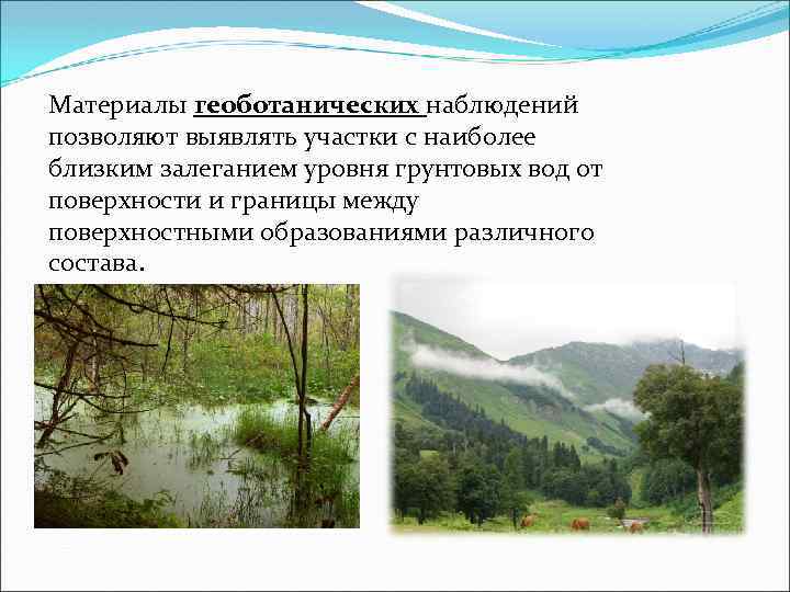 Материалы геоботанических наблюдений позволяют выявлять участки с наиболее близким залеганием уровня грунтовых вод от