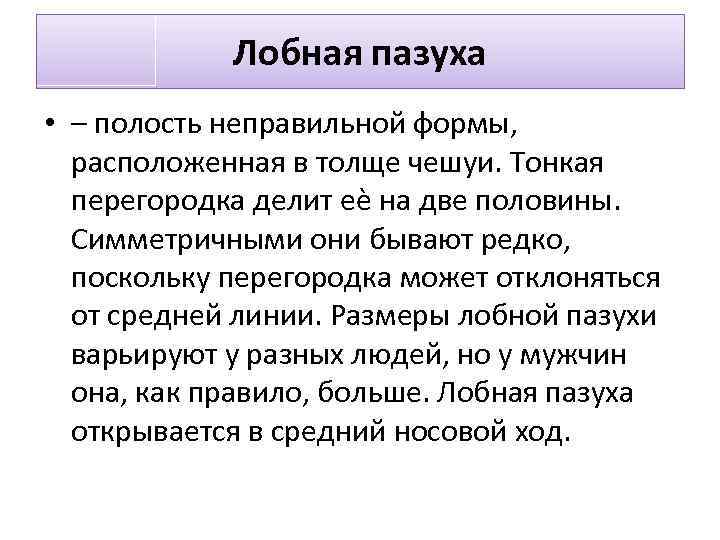 Лобная пазуха • – полость неправильной формы, расположенная в толще чешуи. Тонкая перегородка делит