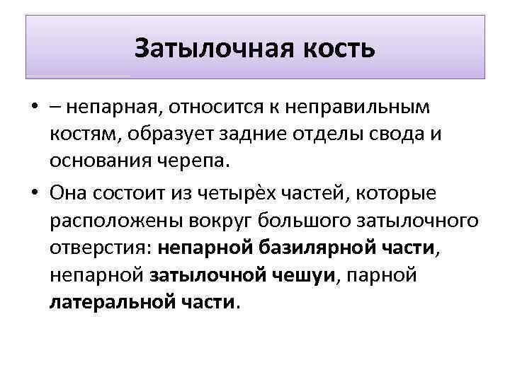 Затылочная кость • – непарная, относится к неправильным костям, образует задние отделы свода и