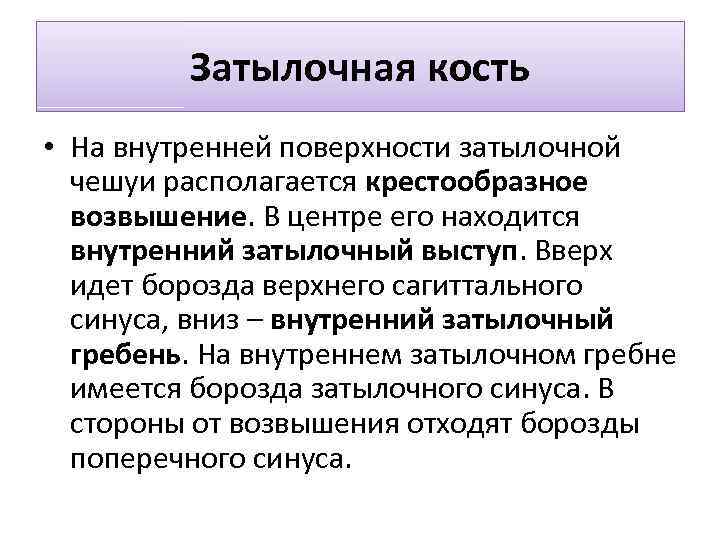 Затылочная кость • На внутренней поверхности затылочной чешуи располагается крестообразное возвышение. В центре его