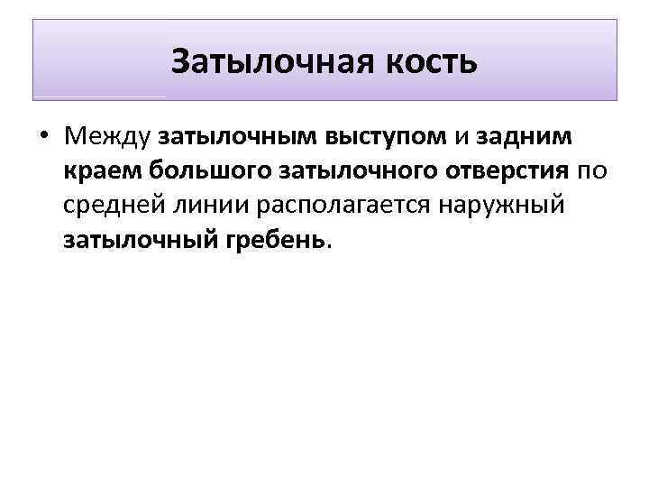 Затылочная кость • Между затылочным выступом и задним краем большого затылочного отверстия по средней