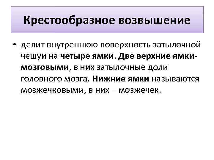 Крестообразное возвышение • делит внутреннюю поверхность затылочной чешуи на четыре ямки. Две верхние ямкимозговыми,