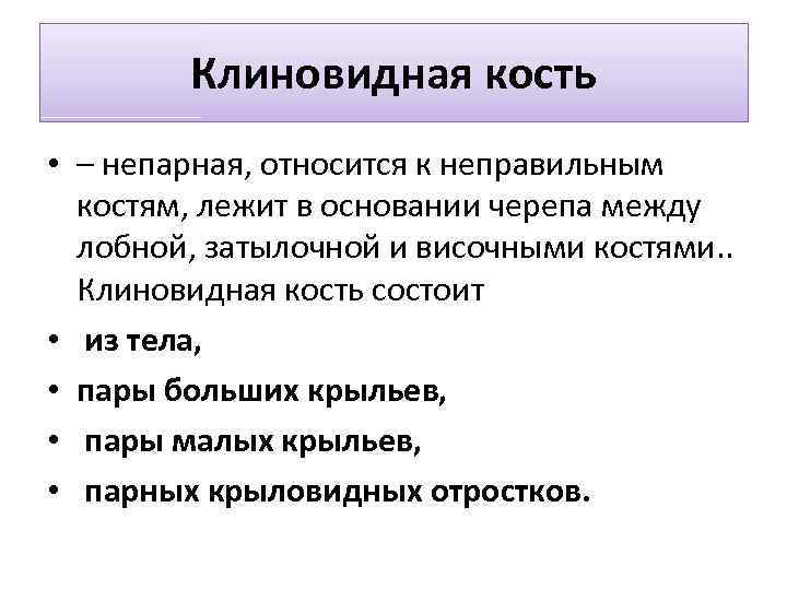 Клиновидная кость • – непарная, относится к неправильным костям, лежит в основании черепа между