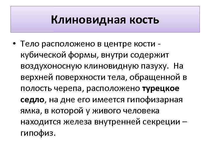 Клиновидная кость • Тело расположено в центре кости кубической формы, внутри содержит воздухоносную клиновидную