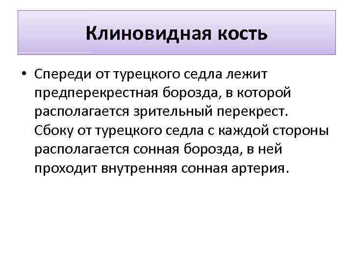 Клиновидная кость • Спереди от турецкого седла лежит предперекрестная борозда, в которой располагается зрительный