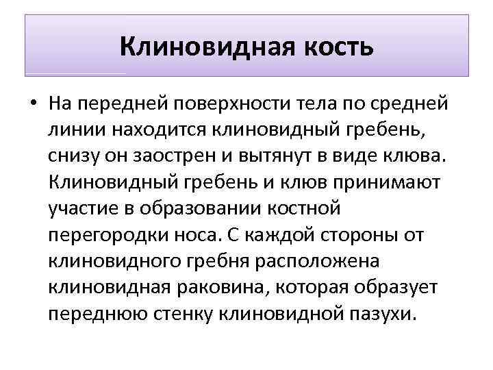 Клиновидная кость • На передней поверхности тела по средней линии находится клиновидный гребень, снизу