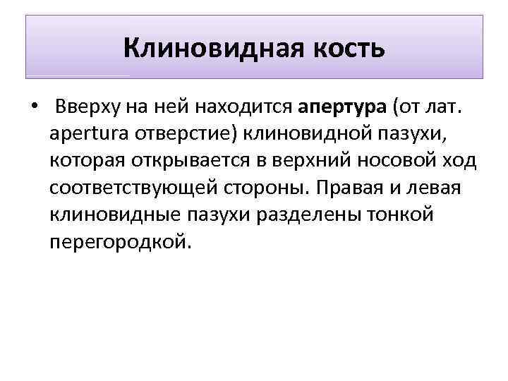 Клиновидная кость • Вверху на ней находится апертура (от лат. apertura отверстие) клиновидной пазухи,