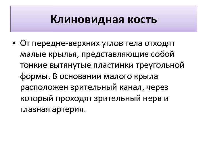 Клиновидная кость • От передне-верхних углов тела отходят малые крылья, представляющие собой тонкие вытянутые