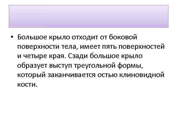  • Большое крыло отходит от боковой поверхности тела, имеет пять поверхностей и четыре