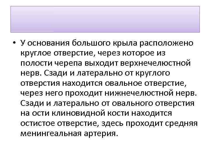  • У основания большого крыла расположено круглое отверстие, через которое из полости черепа