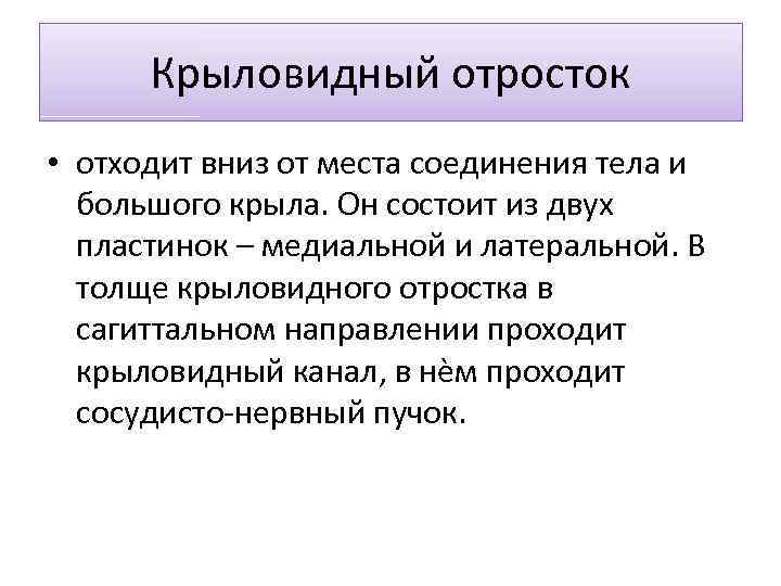 Крыловидный отросток • отходит вниз от места соединения тела и большого крыла. Он состоит