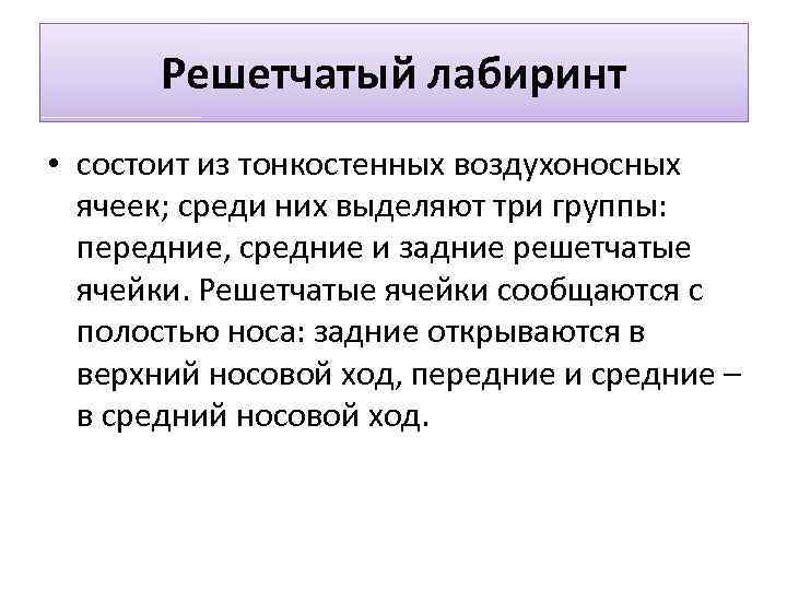 Решетчатый лабиринт • состоит из тонкостенных воздухоносных ячеек; среди них выделяют три группы: передние,