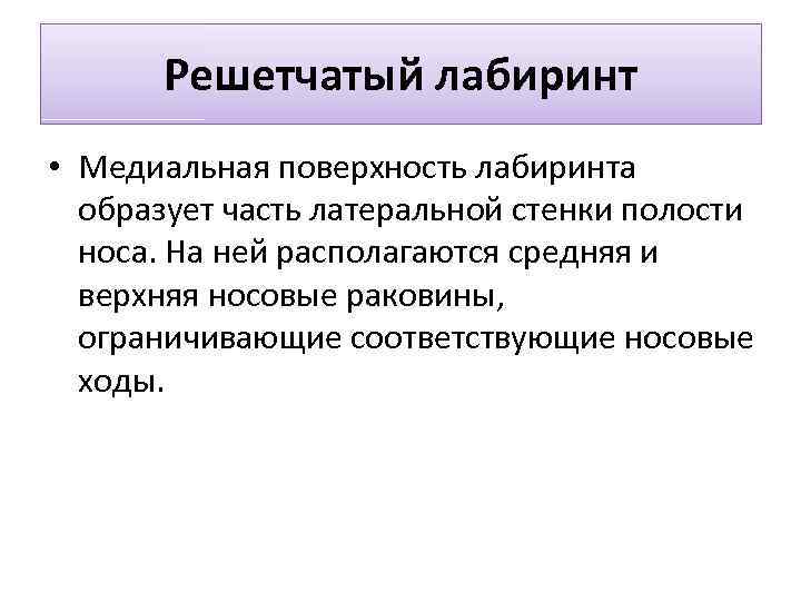 Решетчатый лабиринт • Медиальная поверхность лабиринта образует часть латеральной стенки полости носа. На ней