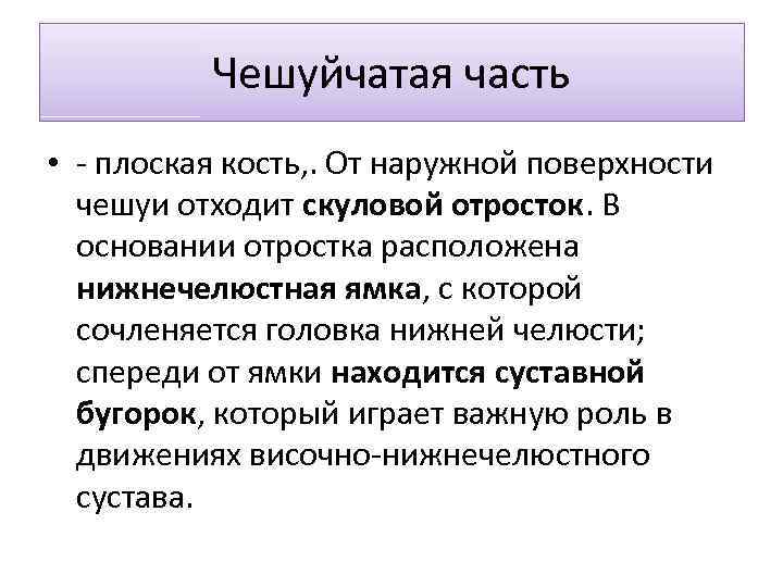 Чешуйчатая часть • - плоская кость, . От наружной поверхности чешуи отходит скуловой отросток.