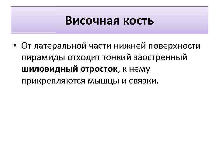 Височная кость • От латеральной части нижней поверхности пирамиды отходит тонкий заостренный шиловидный отросток,