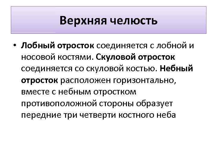 Верхняя челюсть • Лобный отросток соединяется с лобной и носовой костями. Скуловой отросток соединяется