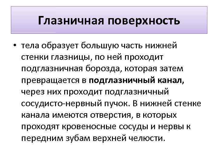 Глазничная поверхность • тела образует большую часть нижней стенки глазницы, по ней проходит подглазничная