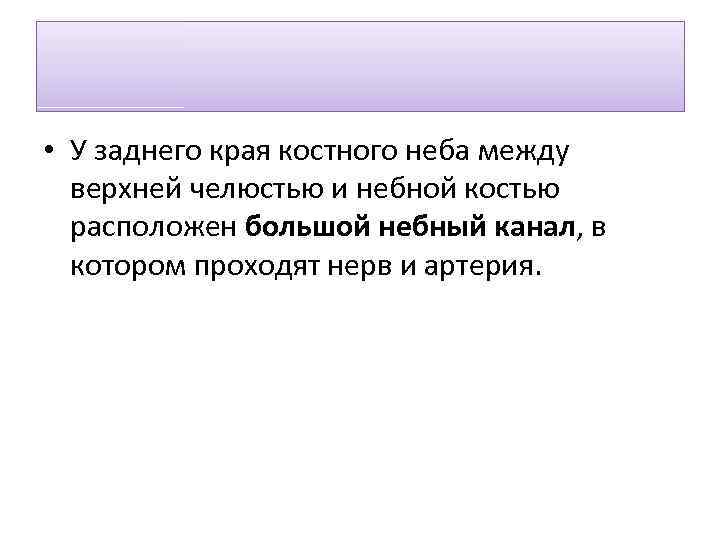  • У заднего края костного неба между верхней челюстью и небной костью расположен