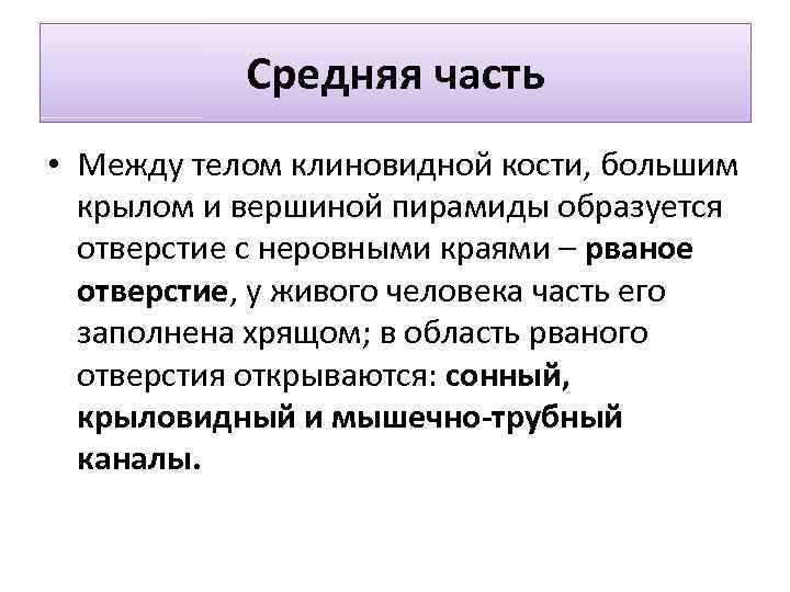 Средняя часть • Между телом клиновидной кости, большим крылом и вершиной пирамиды образуется отверстие