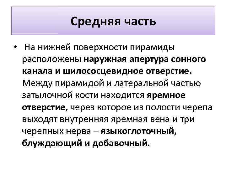 Средняя часть • На нижней поверхности пирамиды расположены наружная апертура сонного канала и шилососцевидное