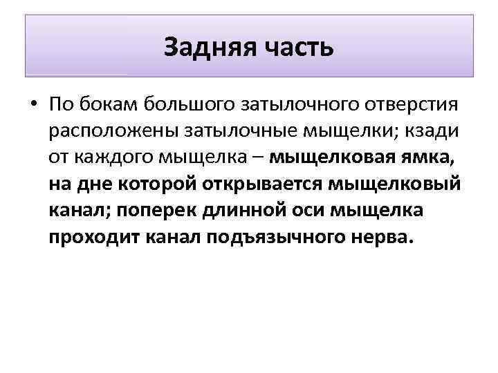 Задняя часть • По бокам большого затылочного отверстия расположены затылочные мыщелки; кзади от каждого