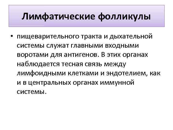 Лимфатические фолликулы • пищеварительного тракта и дыхательной системы служат главными входными воротами для антигенов.