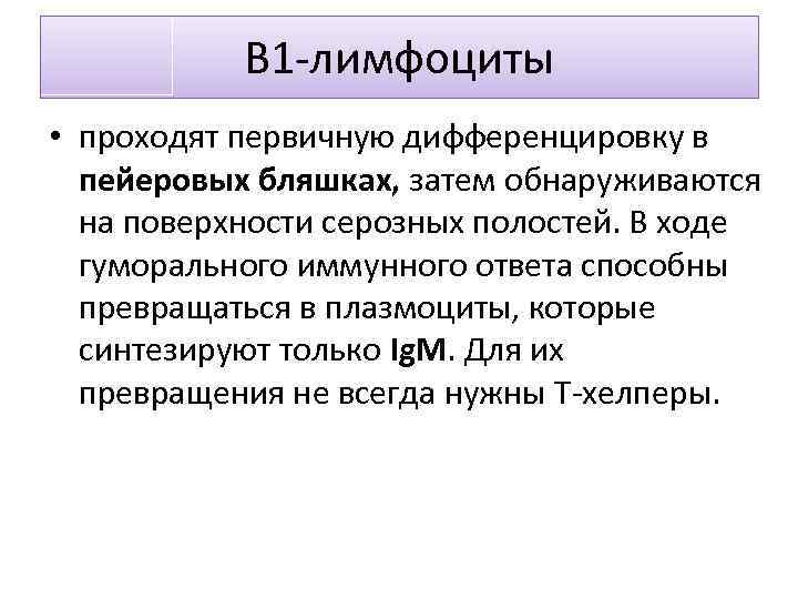 В 1 -лимфоциты • проходят первичную дифференцировку в пейеровых бляшках, затем обнаруживаются на поверхности