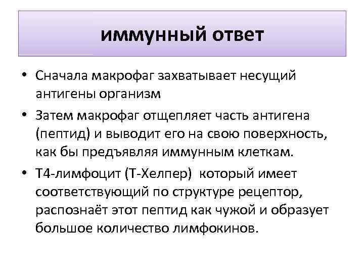 иммунный ответ • Сначала макрофаг захватывает несущий антигены организм • Затем макрофаг отщепляет часть