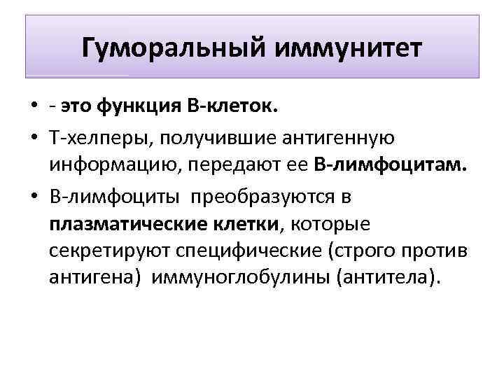 Гуморальный иммунитет