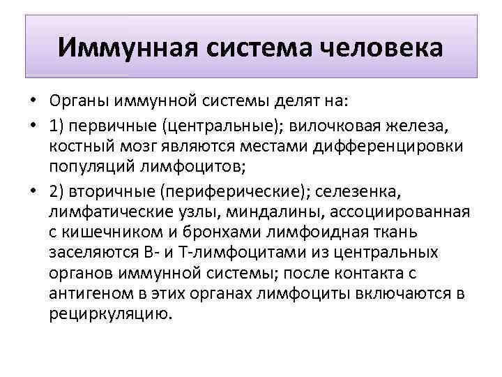 Иммунная система человека • Органы иммунной системы делят на: • 1) первичные (центральные); вилочковая