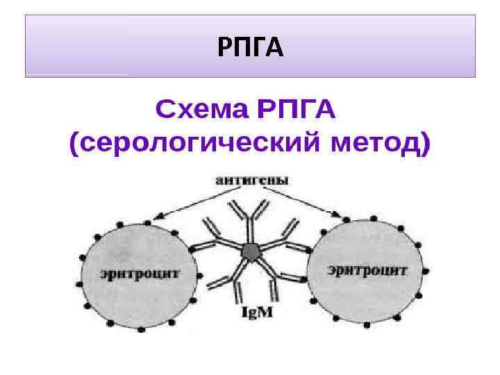 РПГА 