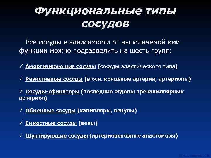 Функциональные типы сосудов Все сосуды в зависимости от выполняемой ими функции можно подразделить на