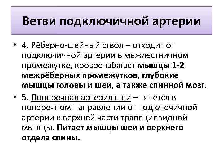Ветви подключичной артерии • 4. Рёберно-шейный ствол – отходит от подключичной артерии в межлестничном