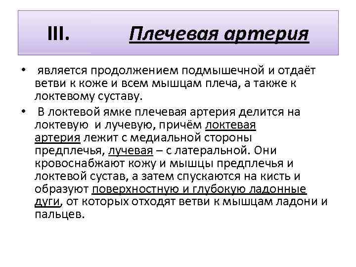 III. Плечевая артерия • является продолжением подмышечной и отдаёт ветви к коже и всем