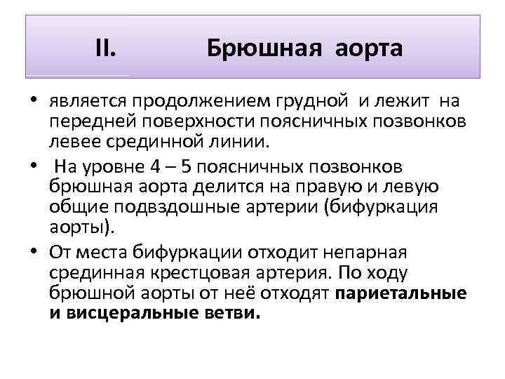 II. Брюшная аорта • является продолжением грудной и лежит на передней поверхности поясничных позвонков