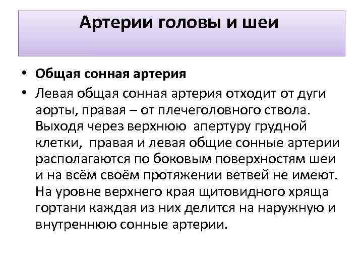 Артерии головы и шеи • Общая сонная артерия • Левая общая сонная артерия отходит