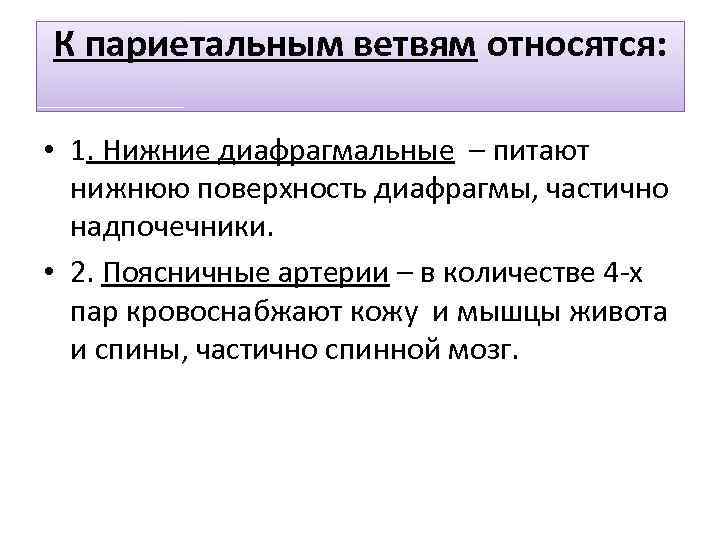 К париетальным ветвям относятся: • 1. Нижние диафрагмальные – питают нижнюю поверхность диафрагмы, частично