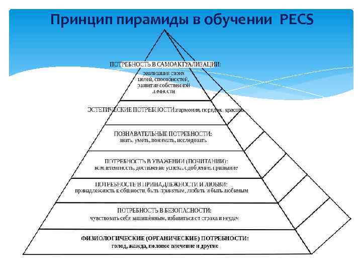 Принцип пирамиды в обучении PECS 