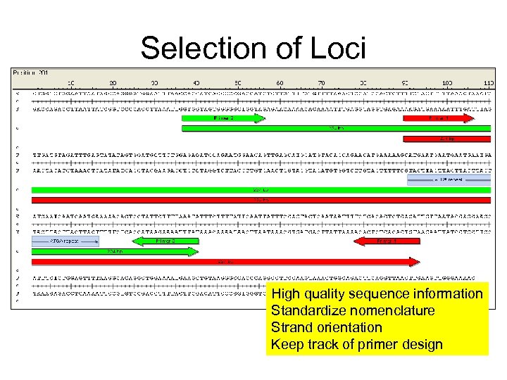 Selection of Loci High quality sequence information Standardize nomenclature Strand orientation Keep track of