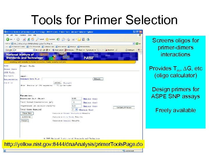Tools for Primer Selection Screens oligos for primer-dimers interactions Provides Tm, DG, etc (oligo